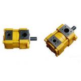 Sumitomo QT23-6.3-A Sumitomo QT Series Gear Pump